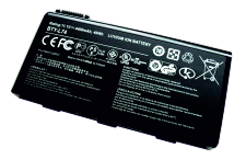 Lithium-ion (Li-ion) Batteries